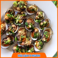 Sò lông sống