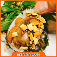 Sò lông sống