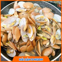 Sò lụa sống