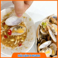 Sò lụa sống