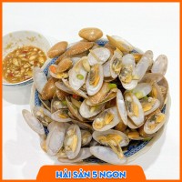Sò lụa sống