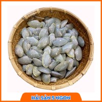 Sò lụa sống