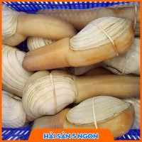 Tu hài sống