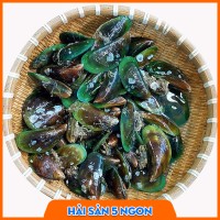 Vẹm xanh sống