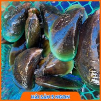 Vẹm xanh sống