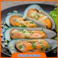 Vẹm xanh sống