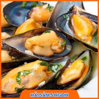 Vẹm xanh sống