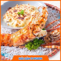 Tôm hùm bông sống