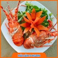 Tôm hùm xanh sống