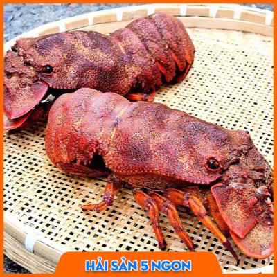 Tôm mũ ni đỏ sống
