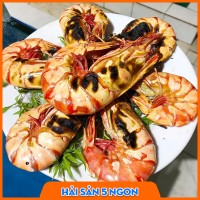 Tôm sú sống