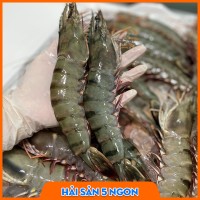 Tôm sú sống