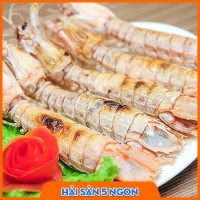 Tôm tít sống