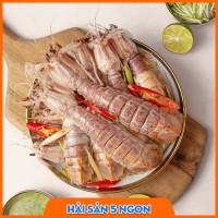 Tôm tít sống