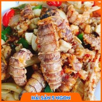 Tôm tít sống