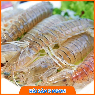 Tôm tít sống